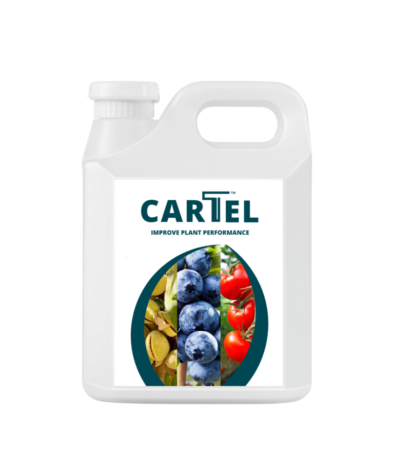 Bioinoculant - CARTEL, cover crops